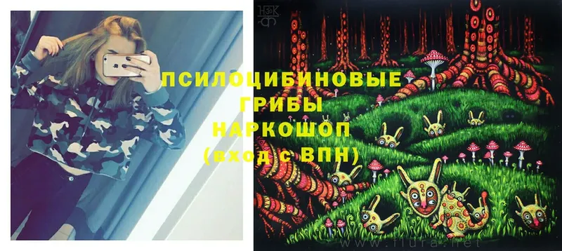 Галлюциногенные грибы Magic Shrooms  Волосово 